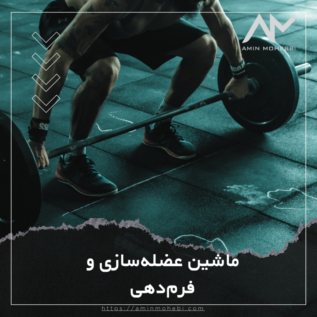ماشین عضله‌سازی و فرم‌دهی - امین محبی