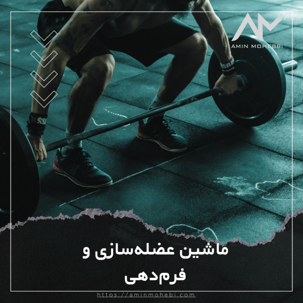 ماشین عضله‌سازی و فرم‌دهی - امین محبی