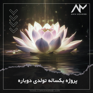 پروژه یکساله تولدی دوباره - امین محبی